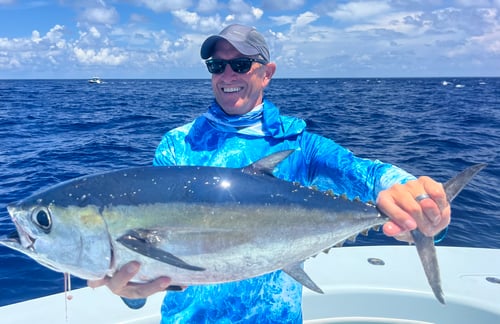Top Notch Swordfish Seeking 10Hr