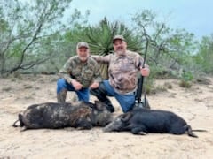 South Texas Pig Hunt & Lodging
