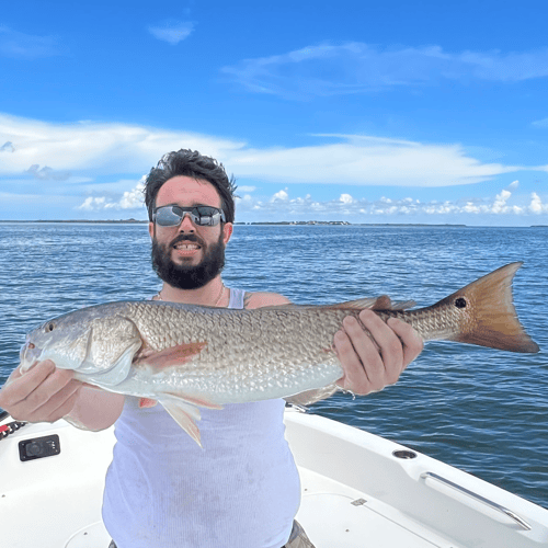 4 Hour Inshore