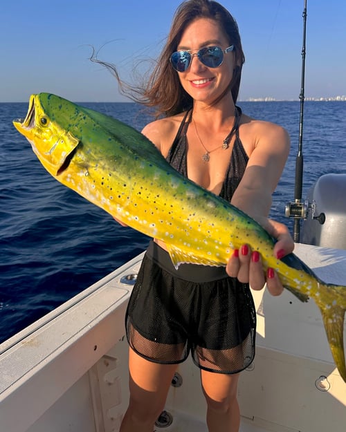 Trolling Trip - 31' Jupiter