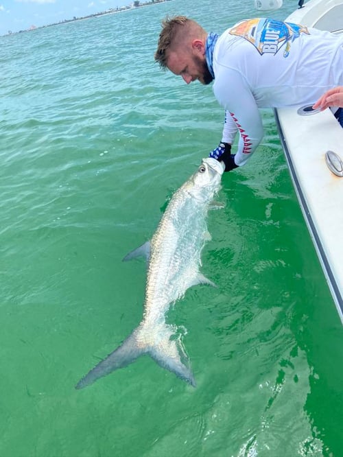 Tarpon charters