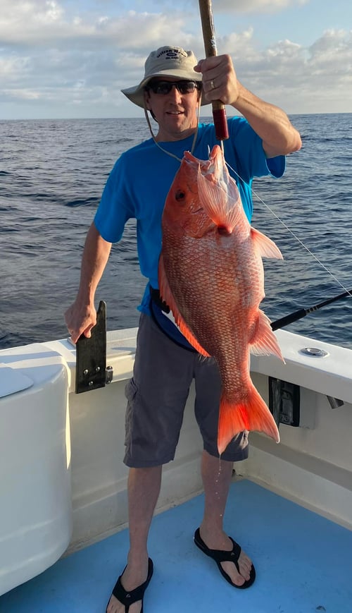 Almost All Day Fishing