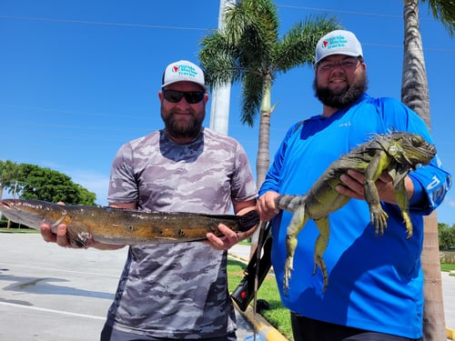 Cast and Blast Adventure 🐟🎣🦎