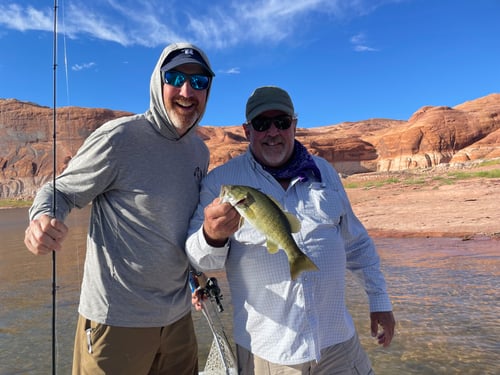 Largemouth Bass Fishing in Bullfrog, Utah