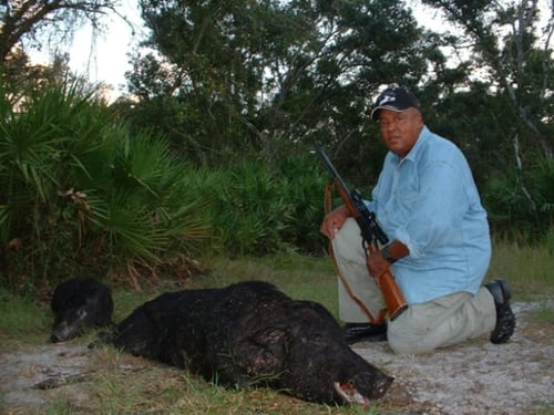 Hog Hunting with Perks!