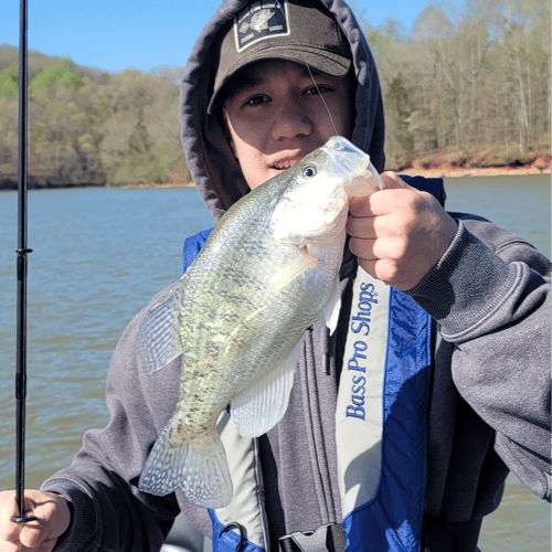 Lake Chickamauga Crappie