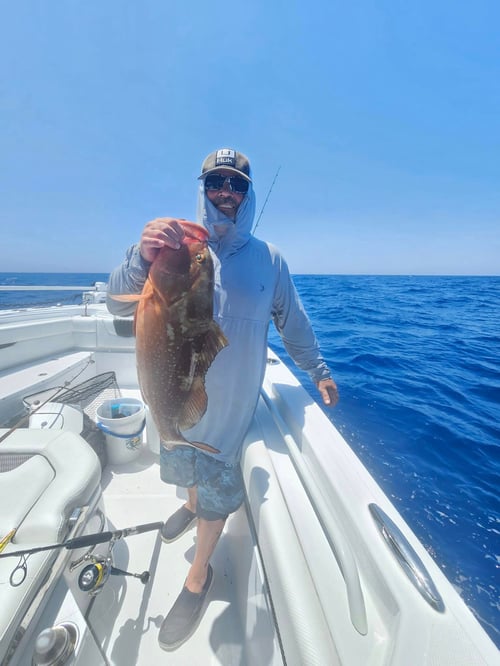 Ultimate Offshore Day Fishing!