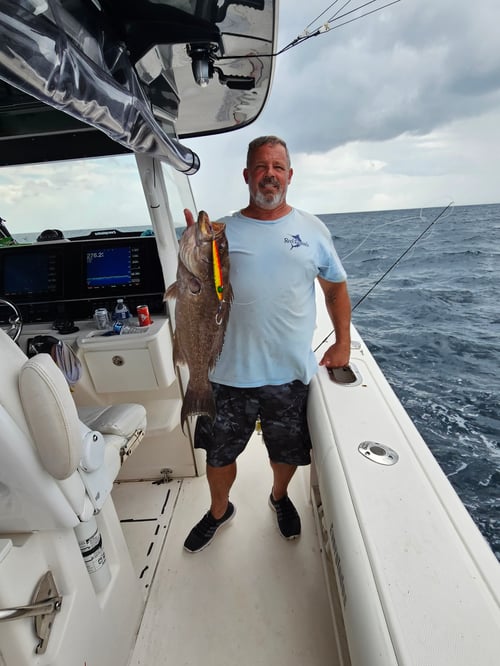 Slow pitch jigging