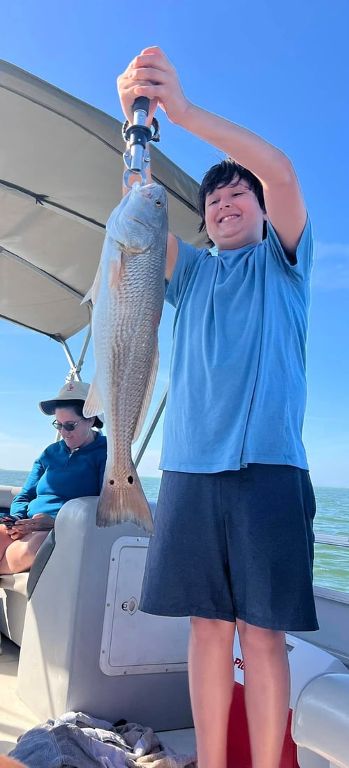 Sarasota Inshore Fishing