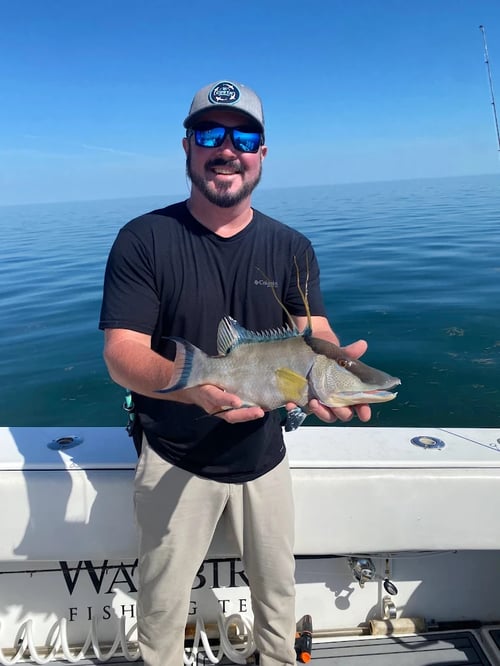 Offshore Fishing Experience
