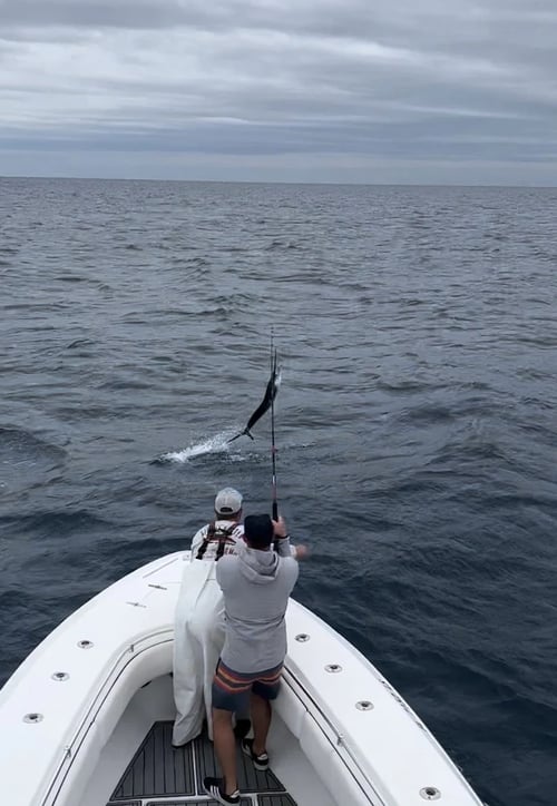 Offshore Fishing Experience