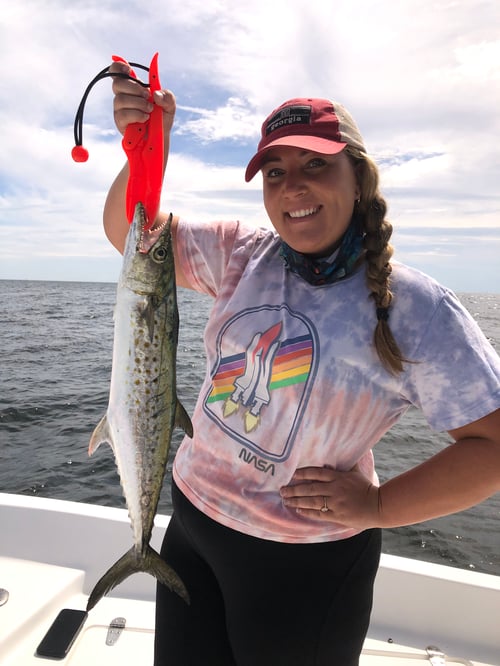 Tampa Bay Inshore Fun
