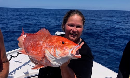 Full Day Offshore - 36' Contender