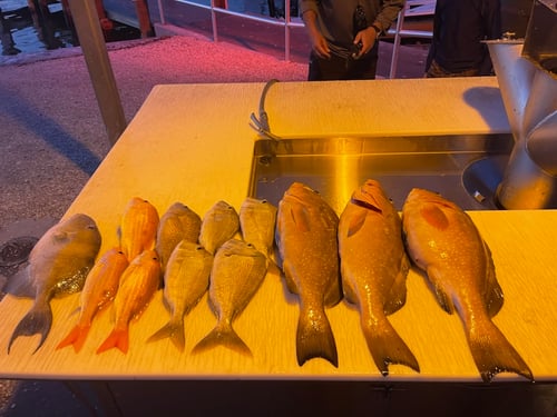 3/4 Day custom, fishing, beach, dolphins, exploring