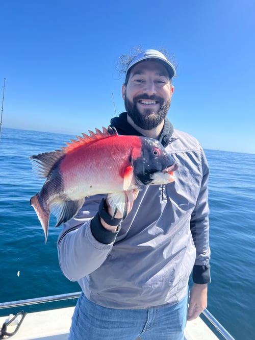 4 hour Fishing Experience