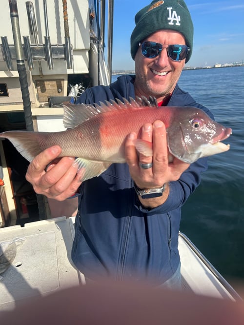 4 hour Fishing Experience