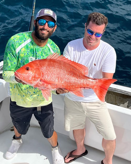 4Hr Private Big Game Sportfishing