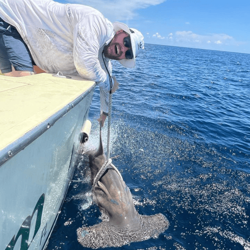4 Hr Private Big Game Sportfishing