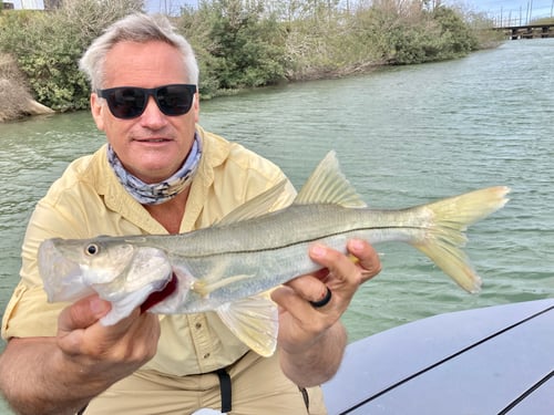 Snook Fishing in South Padre Island, Texas