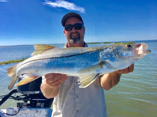Snook Fishing in South Padre Island, Texas