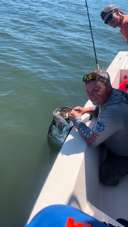 Silver King Tarpon Fishing