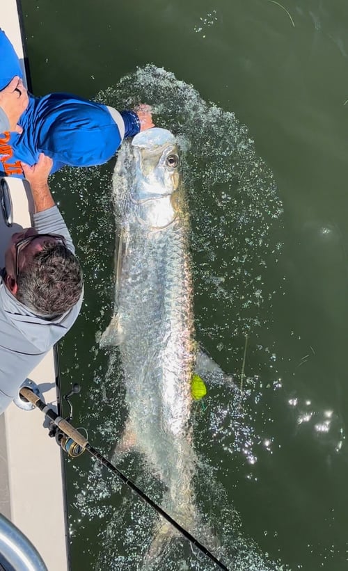 Silver King Tarpon Fishing