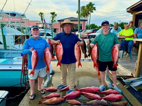 PCB Premier Deep Sea Fishing