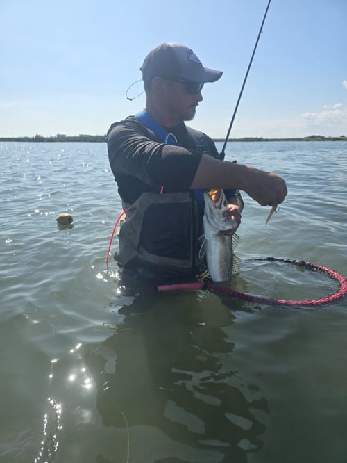 Wade Fishing Port A