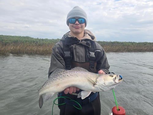 Wade Fishing Port A