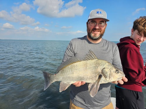 Black Drum Fishing in Aransas Pass, Texas