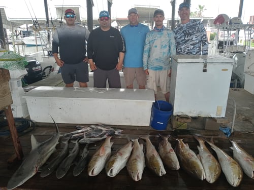 Halfday PM 33 Ft Contender: Texas Deep Sea Fishing Charter