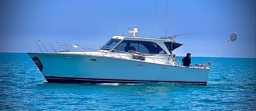 6 Hour 1/2 Charter AFTERNOON