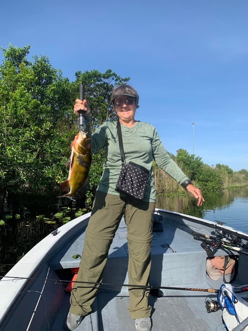 "Exotic" Peacock Bass Slamfest