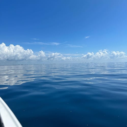 3 hour cruise/trolling trip aboard Bollweevil