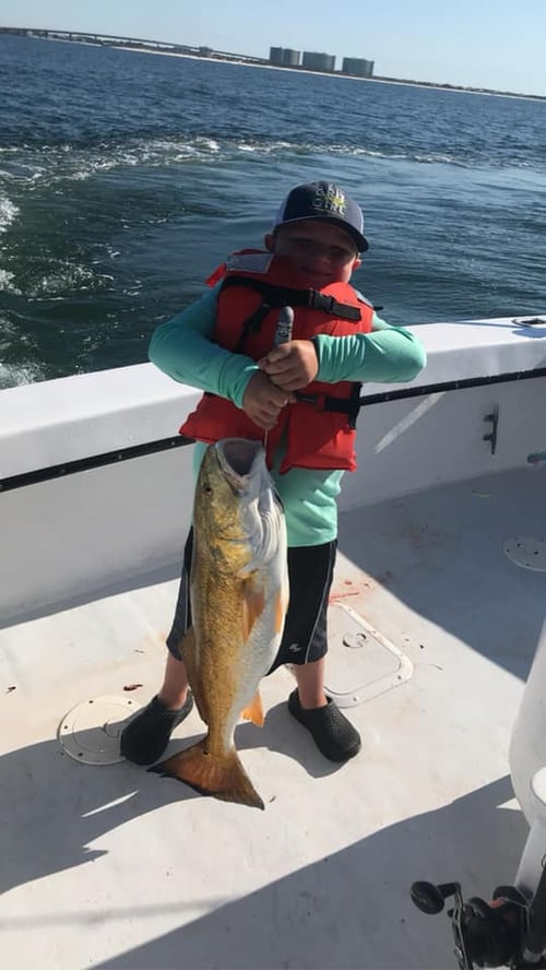 6 hr PM trip on Bollweevil