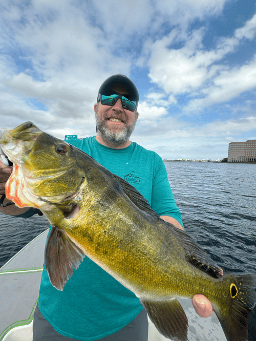 Peacock Bass, Snook & Tarpon Charter