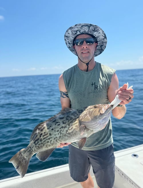 Offshore Panama Baby