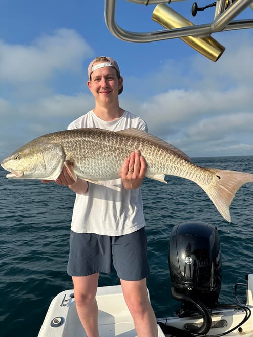 Tarpon Fishing Panama City