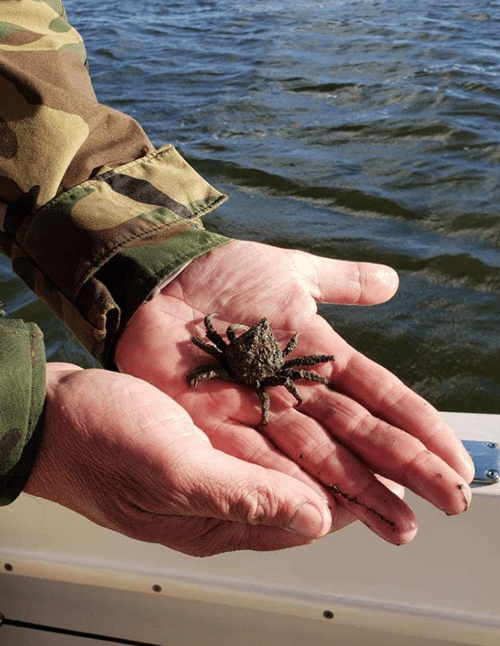 4 hour Family/Kids fishing trip