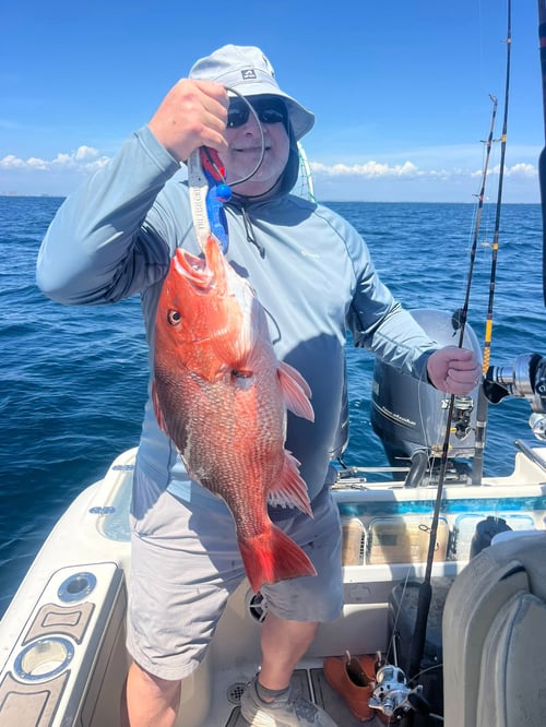 Summer Bottom Fishing