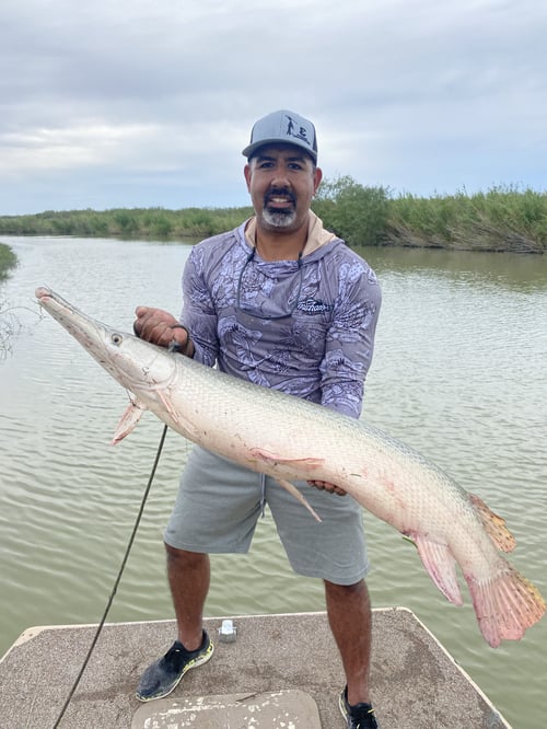 Alligator Gar Fishing in Port Mansfield, Texas