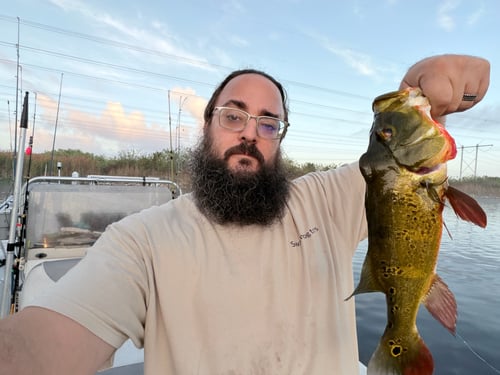 Everglades Fishing