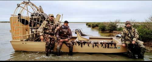 Duck Hunt