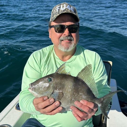 Offshore Reefs and Pelagics
