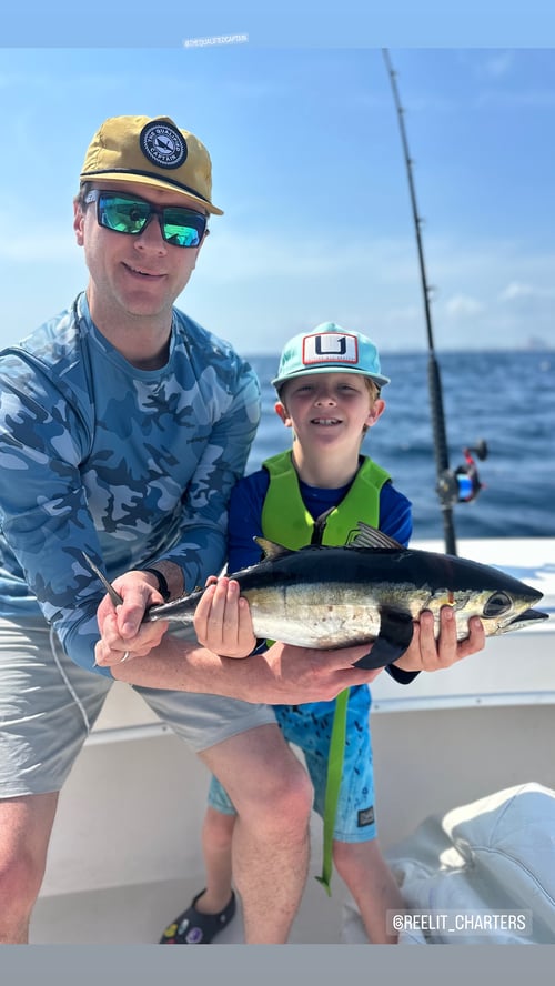 6 Hour Offshore
