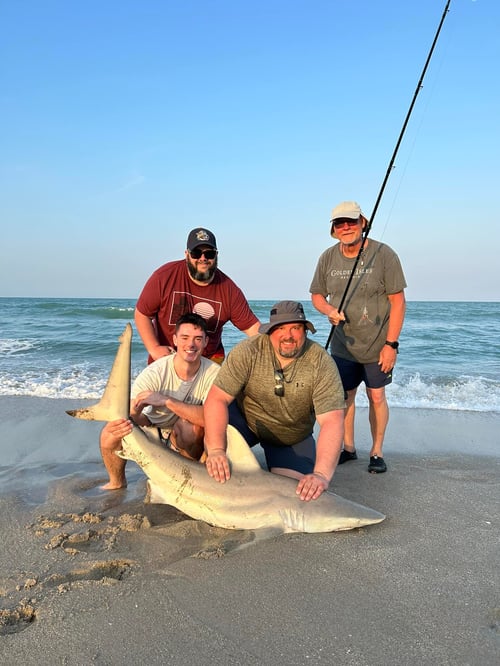 Shark and Surf Fishing Combo
