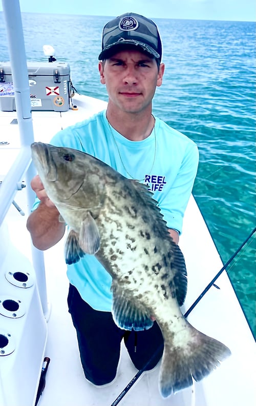 Patch Reef Fishing