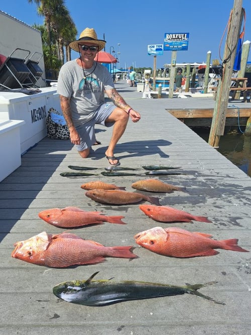 Mahi Mahi, Mangrove Snapper, Red Snapper Fishing in Panama City Beach, Florida