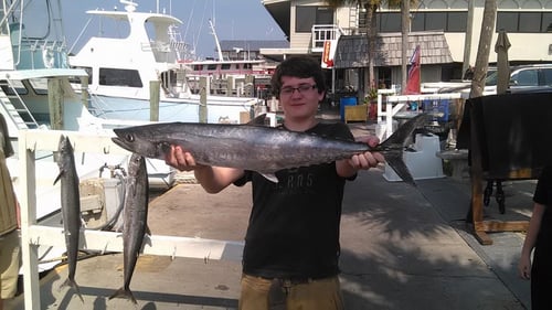 Panama City Trolling Excitment