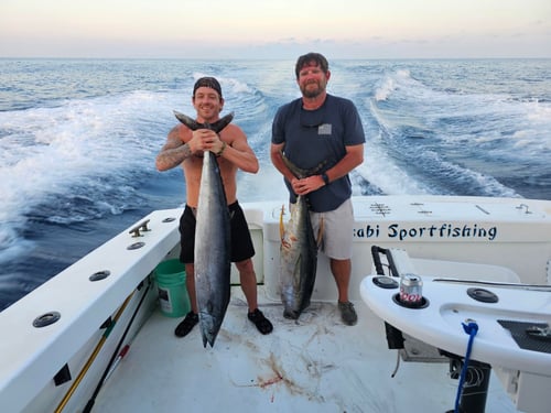 Full Day Gulf Stream